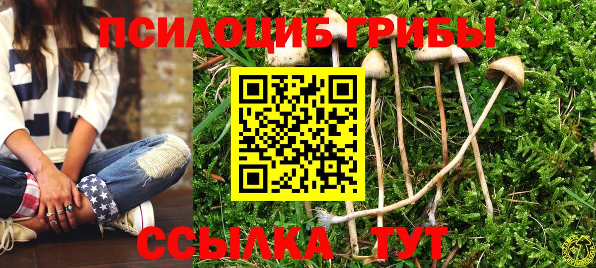 Псилоцибиновые грибы Psilocybe  Галлюциногенные грибы MAGIC MUSHROOMS  Звенигород  Вход с VPN 
