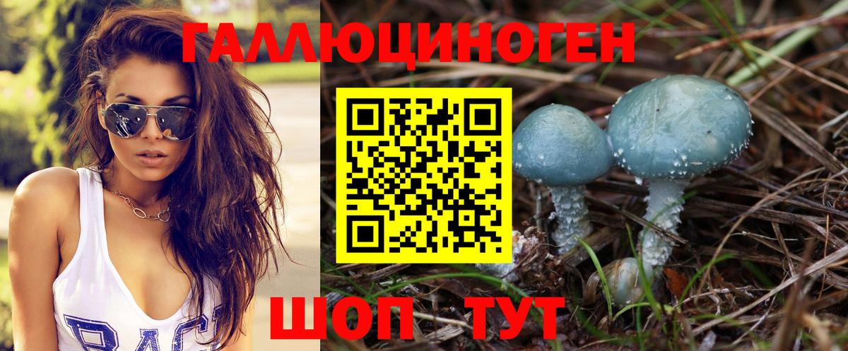 Псилоцибиновые грибы мицелий Звенигород