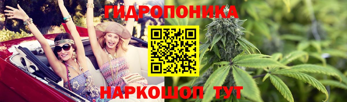 Бошки Шишки план Звенигород
